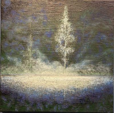 林木間的一道光
