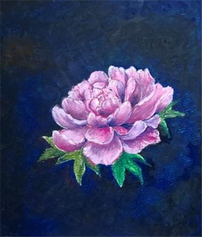 花之三境(三)夜華牡丹
