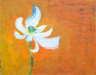 花之三境(二)淨心白蓮
